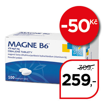 Magne B6®